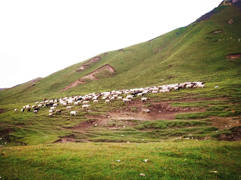 1567135414137652.jpg 微信圖片_20190829172007_副本.jpg