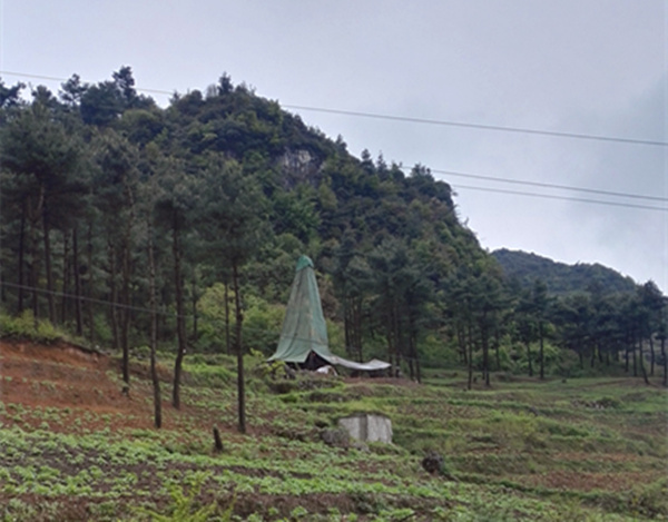 把脈“黔”鋅地，問診開良方